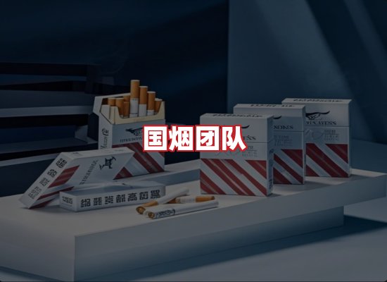 国烟团队