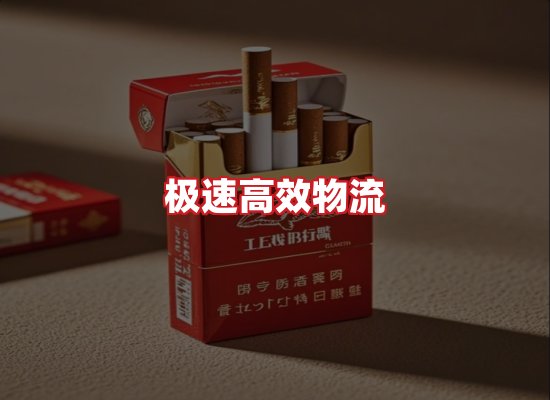 专业团队